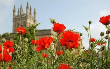 Oxford University Building