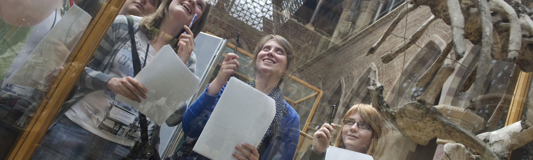People looking at a museum display
